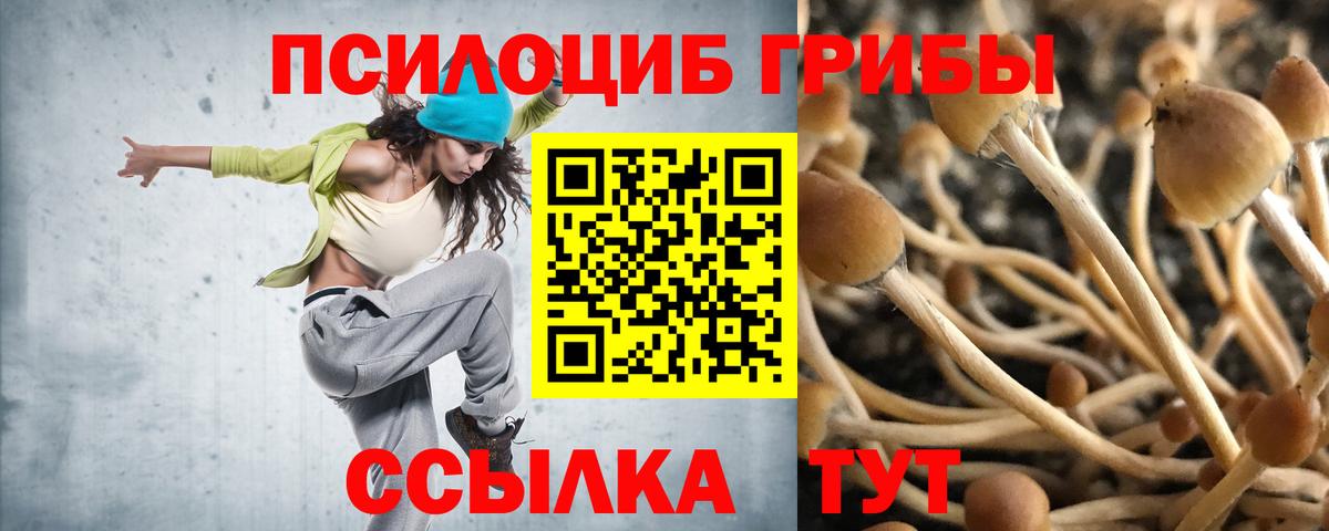 Псилоцибиновые грибы Psilocybe Артёмовский